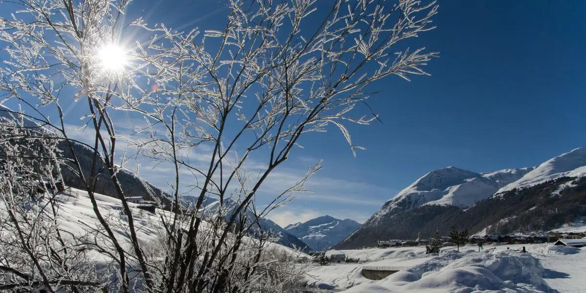 A bright winter day outdoor with the sun shining through snow-covered branches. The landscape features snow-covered mountains and valleys under a clear blue sky, with frosty trees glistening in the sunlight