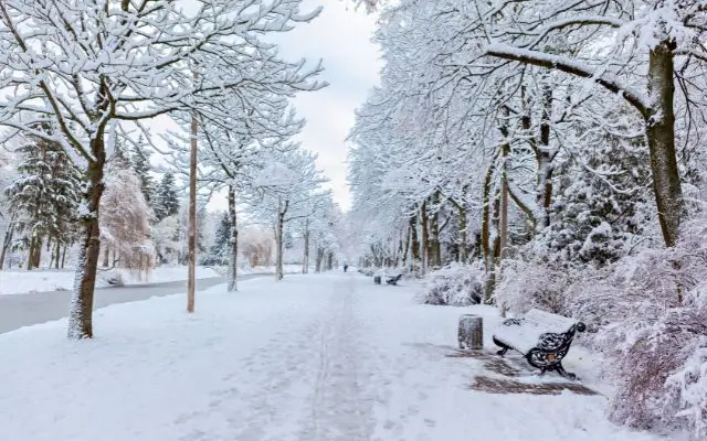 Snow-covered park path lined with trees and benches, ideal for winter hiking with the best winter hiking gear