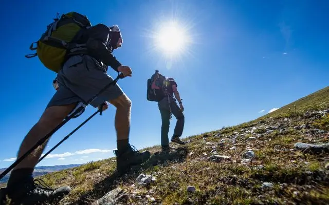 Two hikers with backpacks, hiking shoes, and trekking poles climbing a grassy hillside under a bright blue sky and a shining sun. 