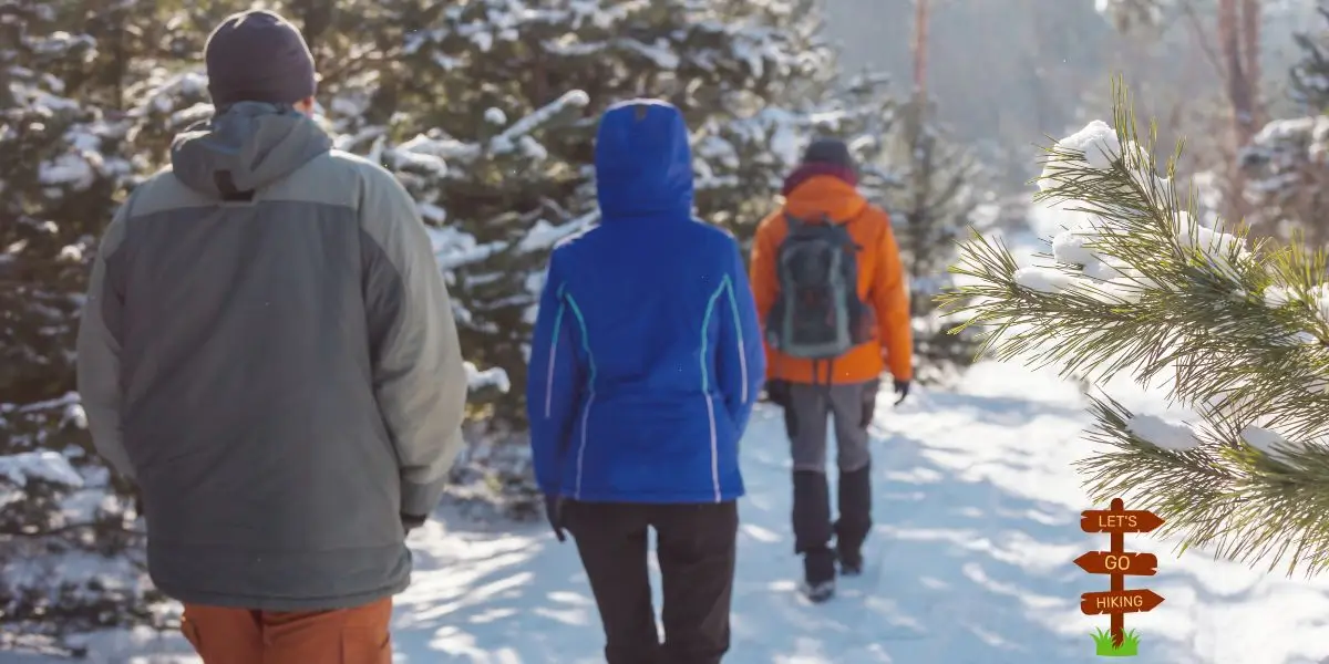 Three hikers wearing the best winter hiking gear, including insulated jackets, hiking through a snowy forest trail.